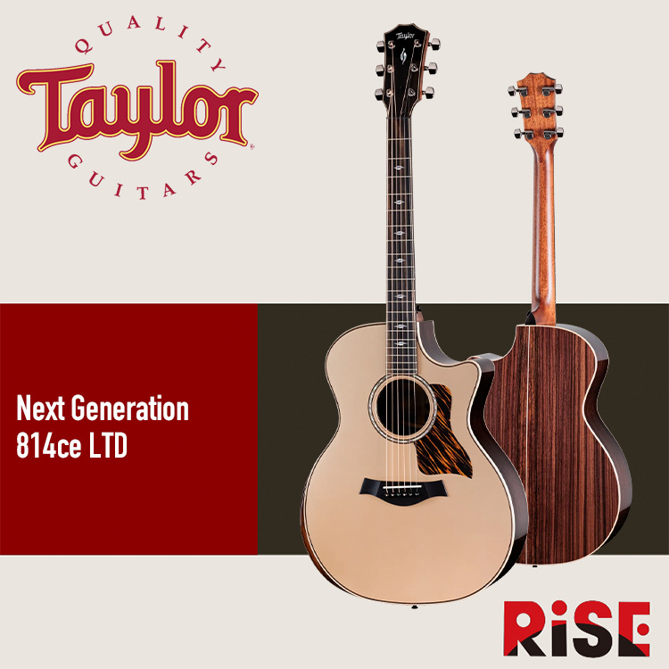 Taylor Next Generation 814ce LTD Casablanca Beige Metallic 木吉他