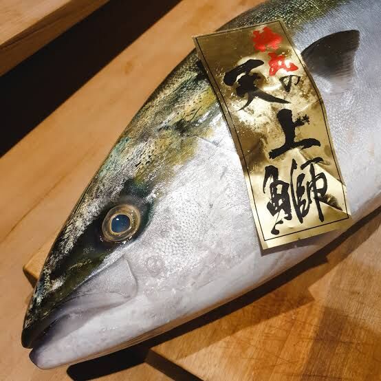 天上鰤