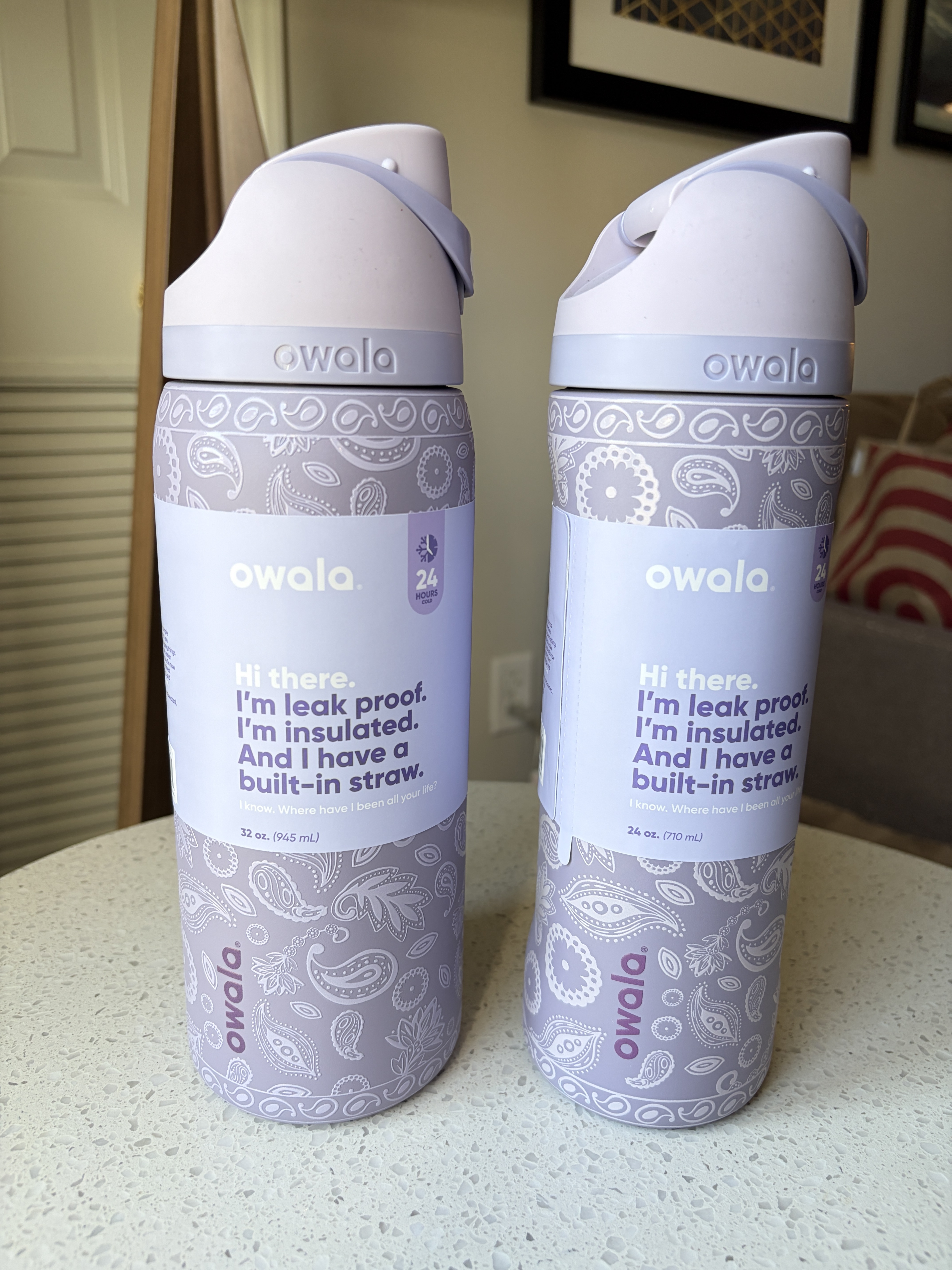 Owala x SCHEELS 薰衣草紫 滿版 不鏽鋼 FreeSip 水壺 (內有吸管) (2個尺寸)
