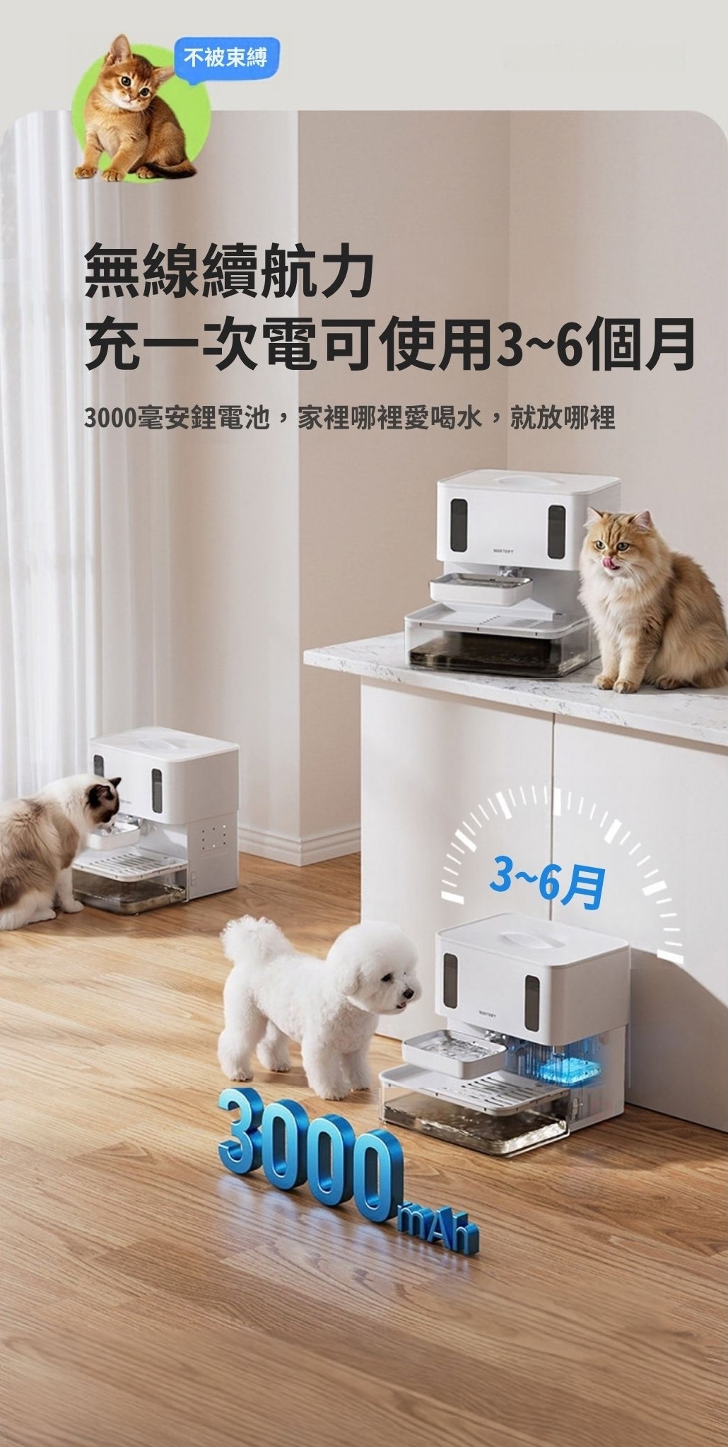 Marktart寵物飲水機採用3000毫安培電池,充電一次可續航3-6個月