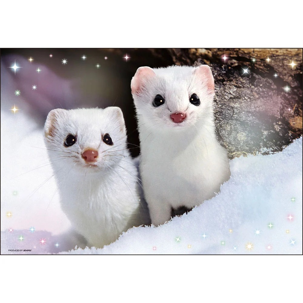 Hyokkori Ezo stoat