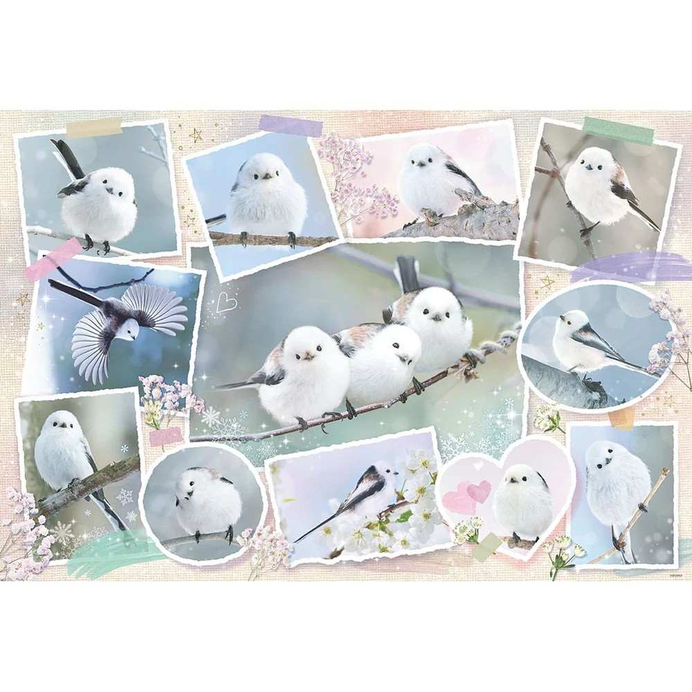 Shimaenaga Photo Memories