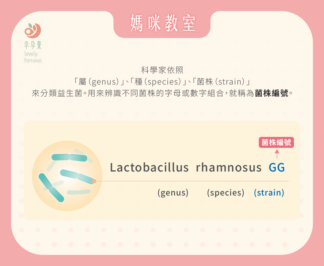 幸孕果媽咪教室 益生菌怎麼挑？別只看菌數，營養師帶你看懂「菌株編號」