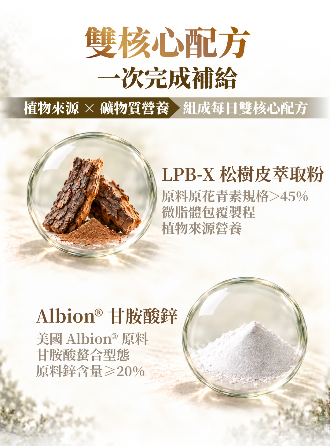 鋅＋松樹皮複方膠囊雙核心原料介紹，以松樹皮與白色粉末示意LPB-X微脂體松樹皮萃取粉及美國Albion甘胺酸螯合鋅。
