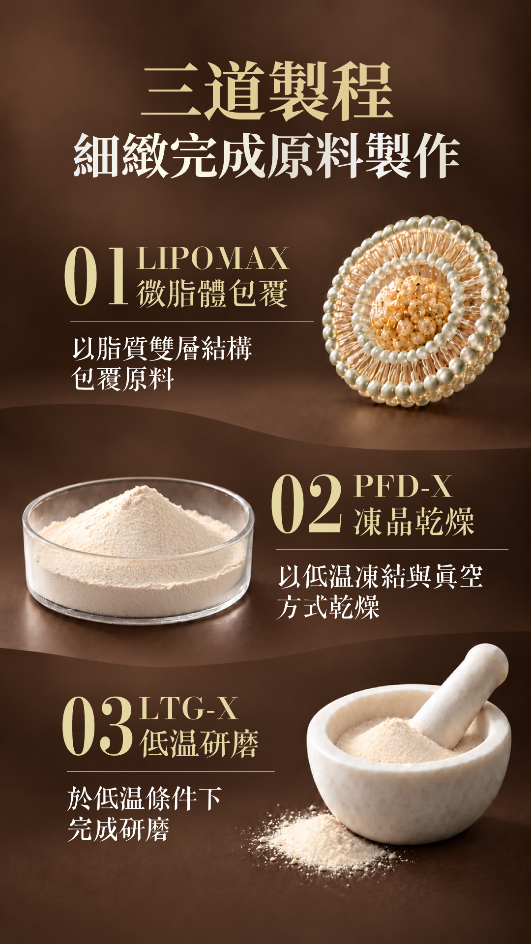 LPB-X松樹皮萃取粉三道製程示意：LIPOMAX微脂體包覆、PFD-X凍晶乾燥及LTG-X低溫研磨。