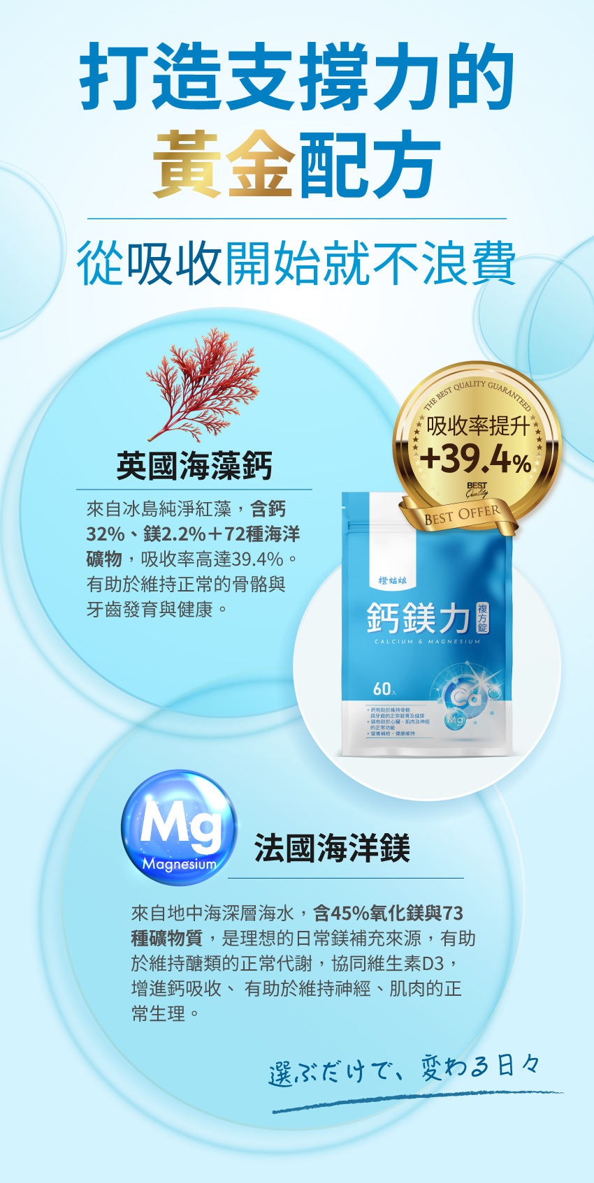 鈣鎂力複方錠海洋礦物質來源介紹，以紅藻及鎂元素圖示，說明海藻鈣與海洋鎂的原料特色。