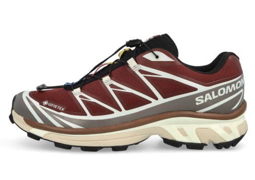 Salomon XT-6 GTX Bitter Chocolate | 492152