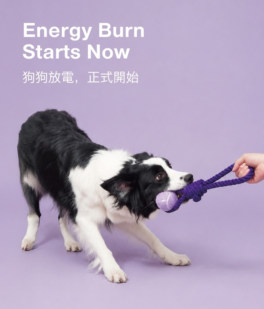 SEEEN 寵物繩結玩具 狗玩具