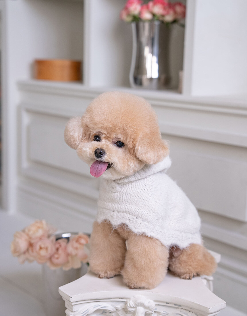 OPAAAP LOLO Poncho Knit