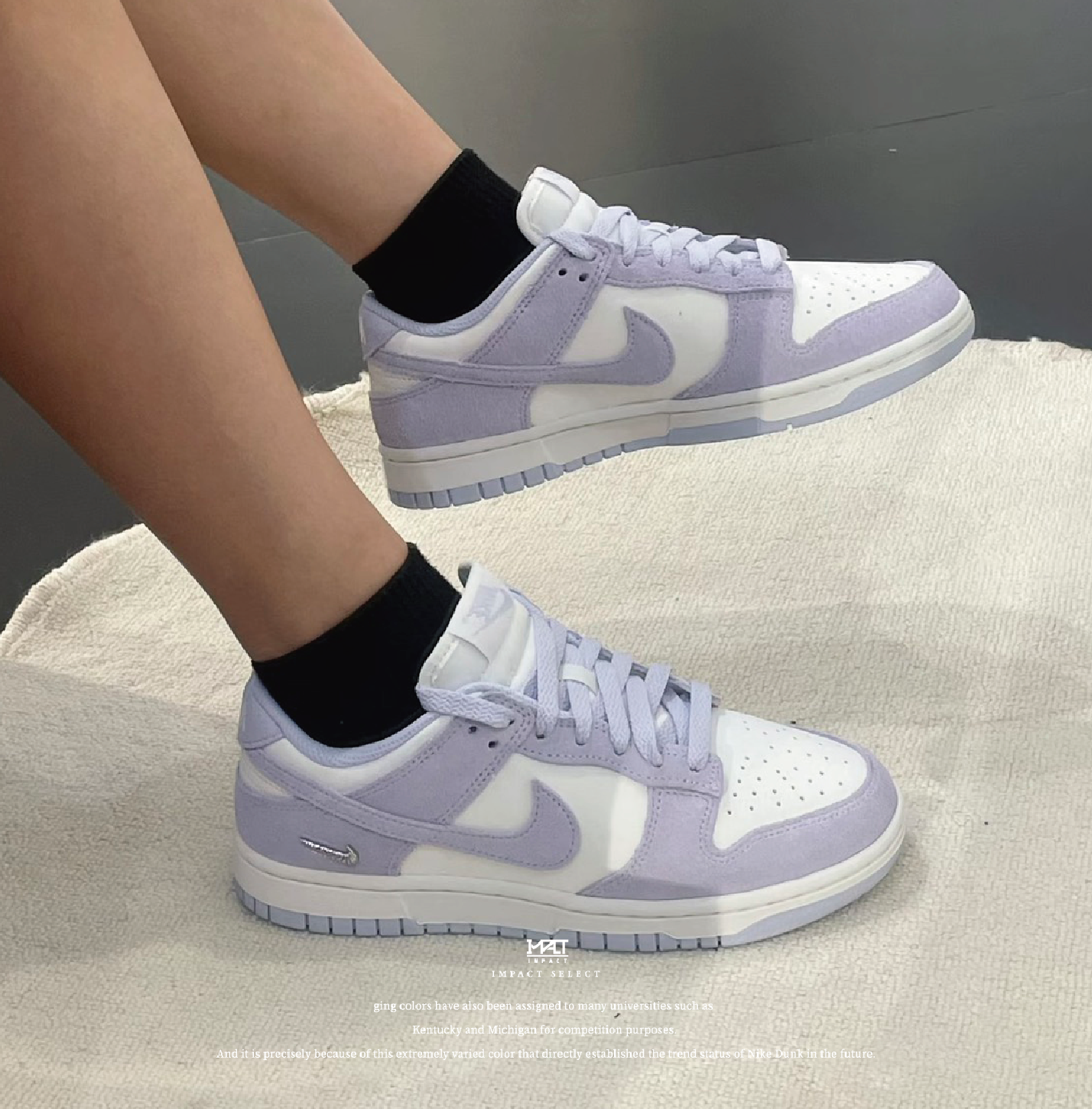 Nike Dunk Pale Purple 芋泥波波 麂皮 小銀勾 IO4244-500