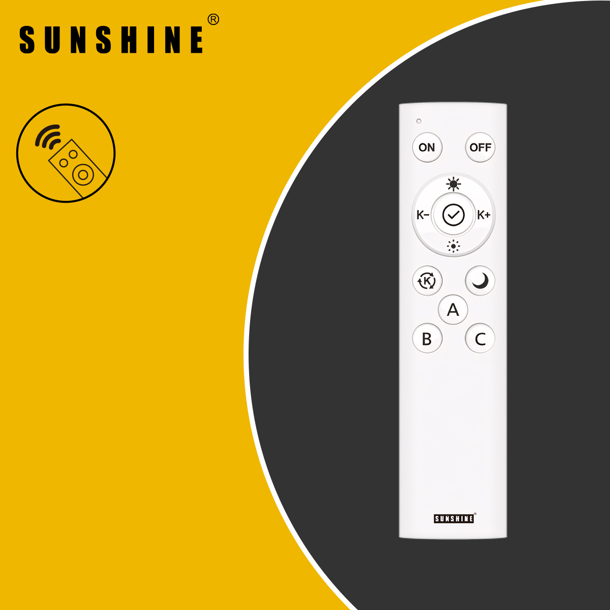Remote R-RF1