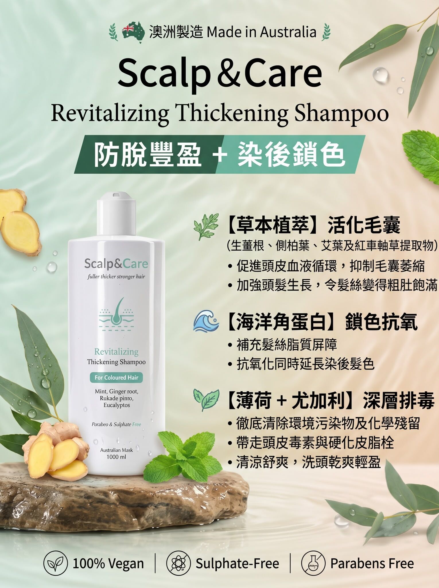 Scalp & Care Coloured Thickening shampoo 250ml/1000ml
