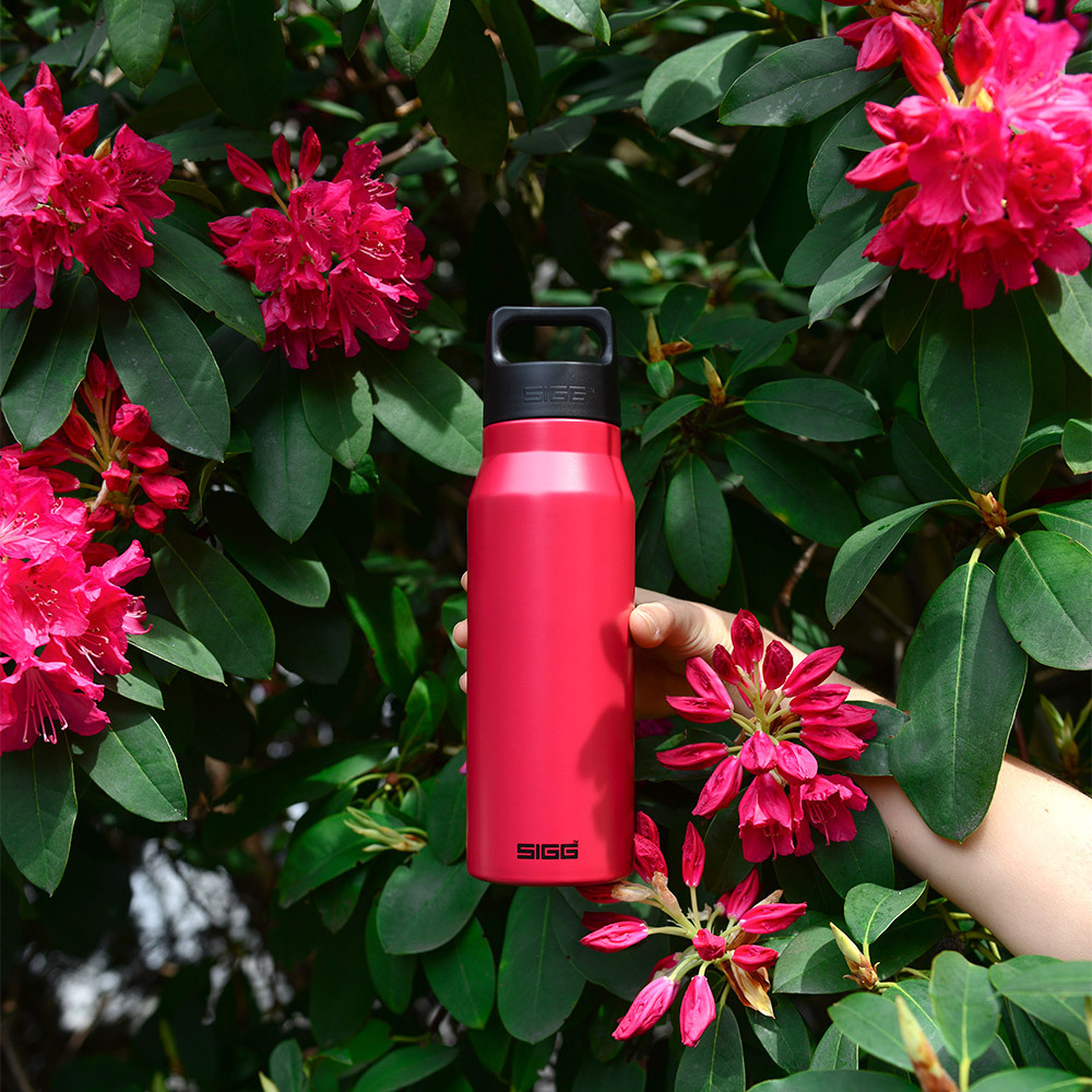 瑞士百年 SIGG 探險家不鏽鋼冷水瓶 750ml