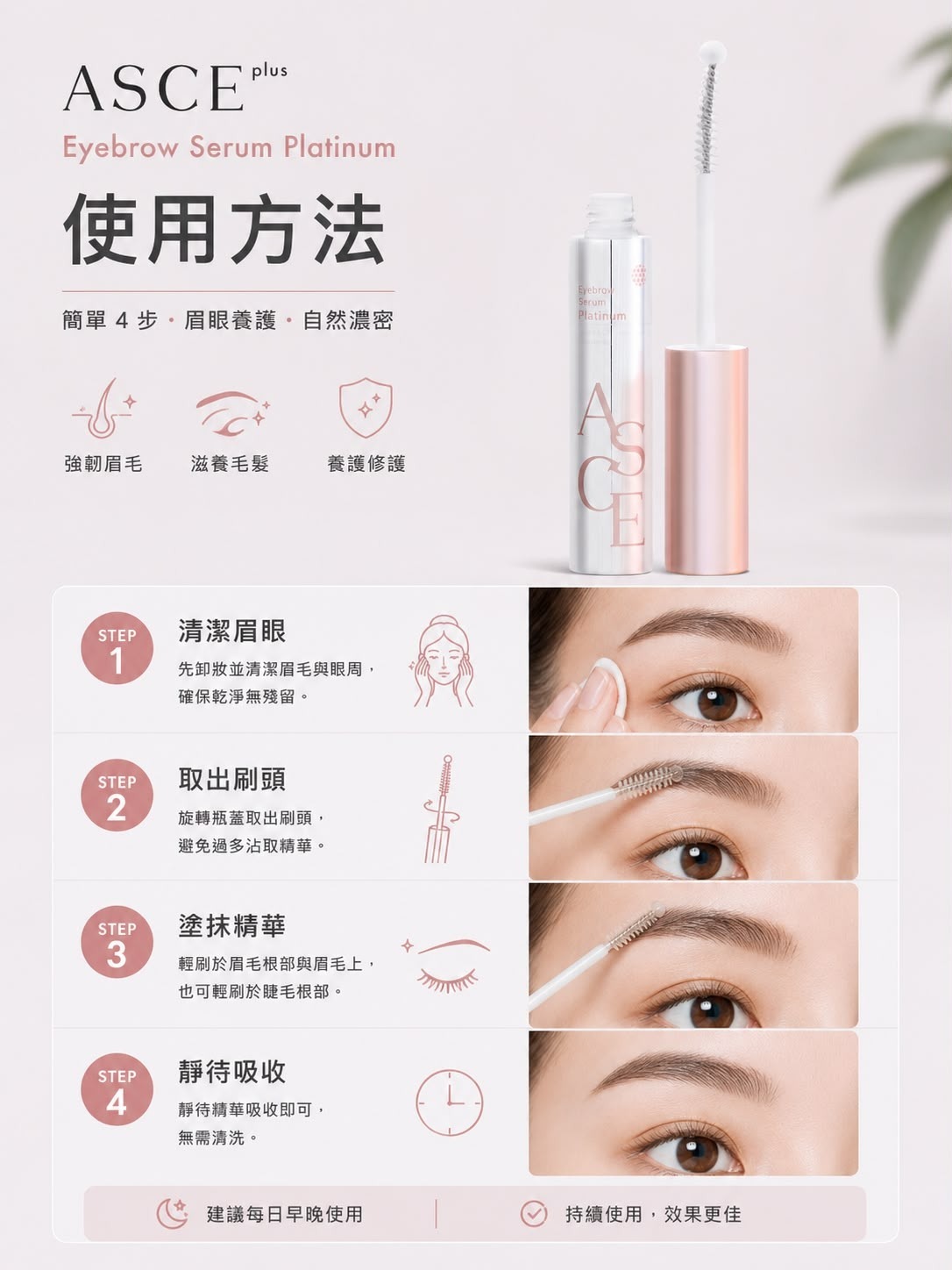 ASCE 鉑金眉毛精華T569 8.5G （2-3星期寄出）