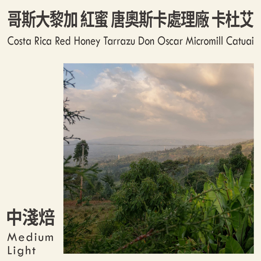 Costa Rica Red Honey Tarrazu Don Oscar Micromill Catuai