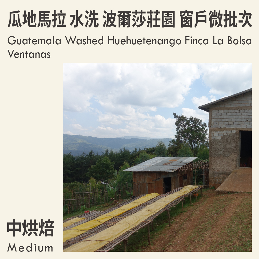 Guatemala Washed Huehuetenango Finca La Bolsa Ventanas