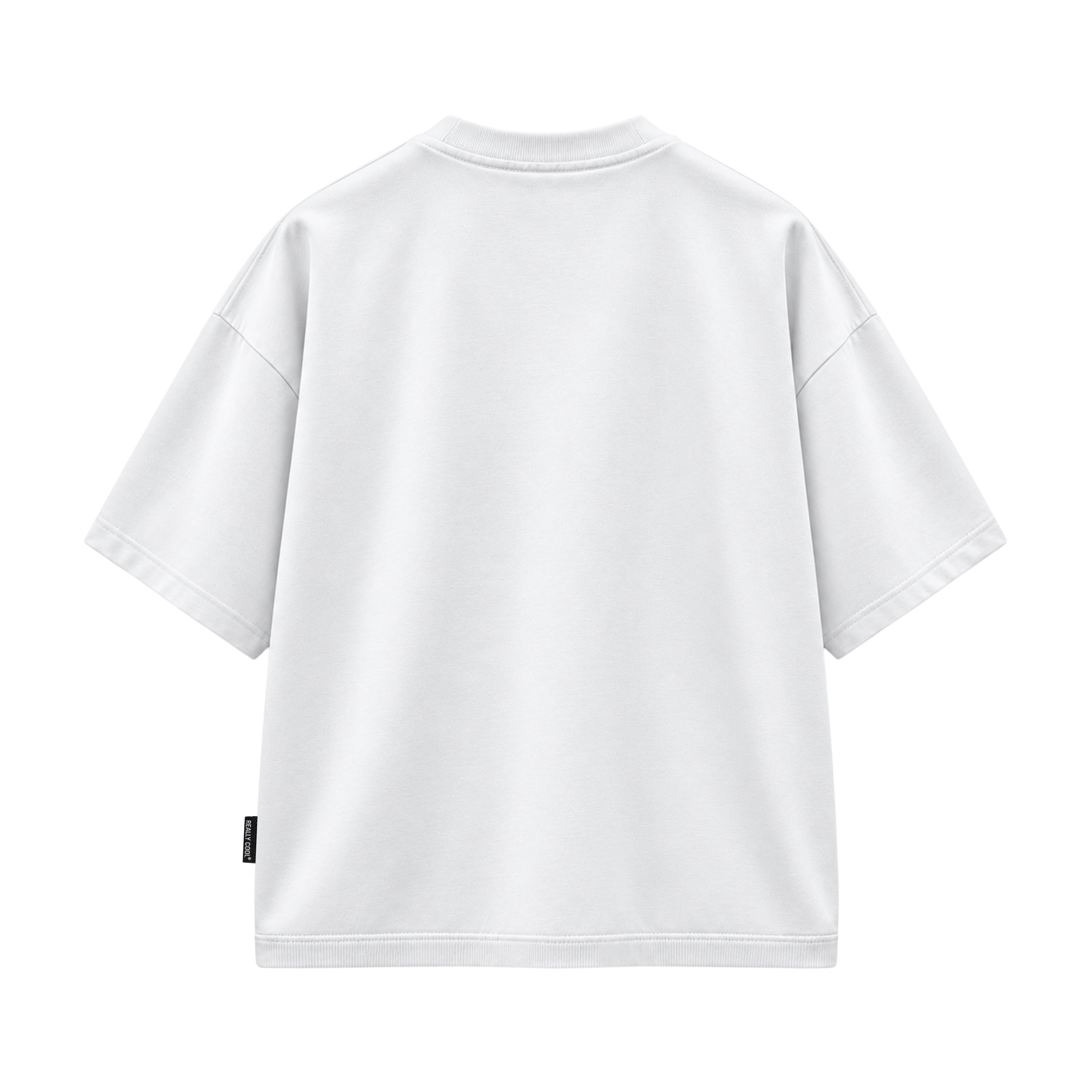 SIGNAL EX Essential - 420 GSM Oversized T-Shirt with Ribbed Hem
