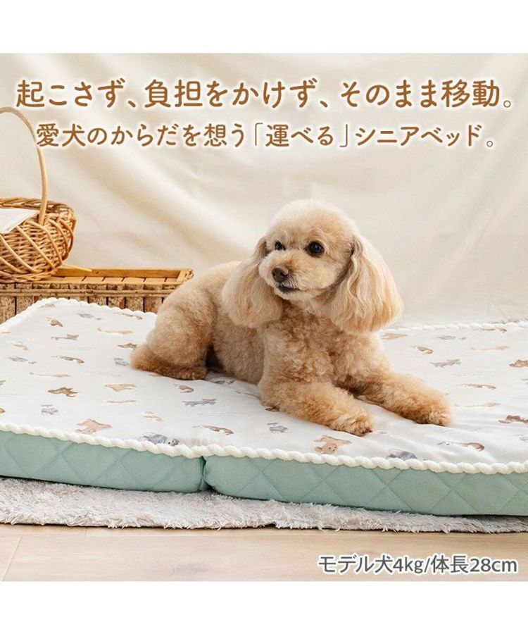 【Pet Paradise】makokoro 高齡狗床 - 狗狗圖案 <758-66258 / 758-66259>