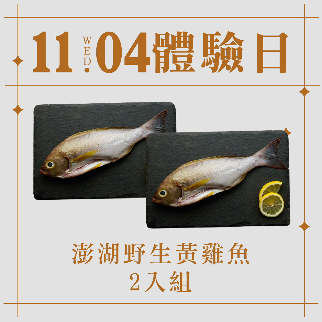 11/4體驗日｜澎湖野生黃雞魚 2入組