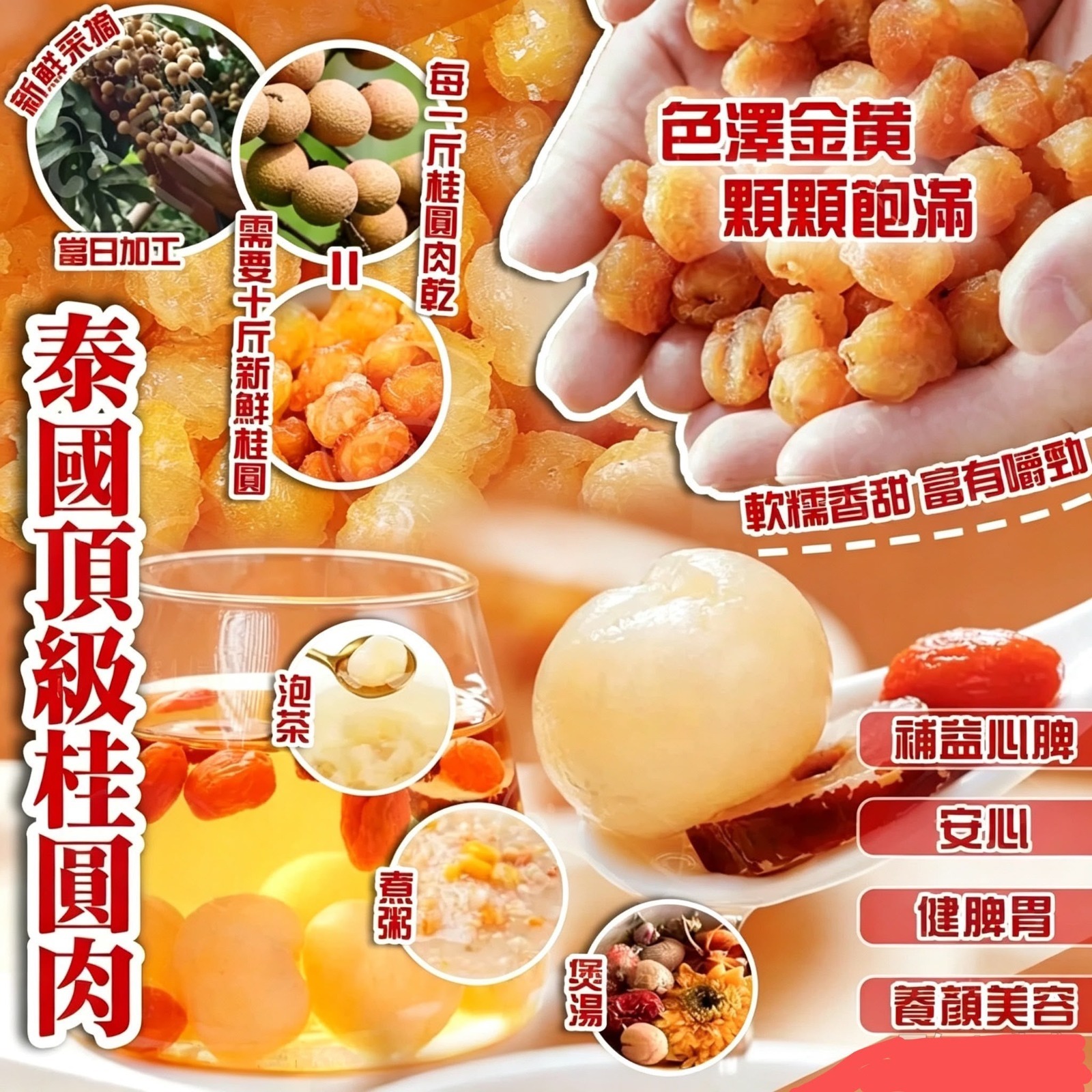 泰國頂級桂圓肉 100g