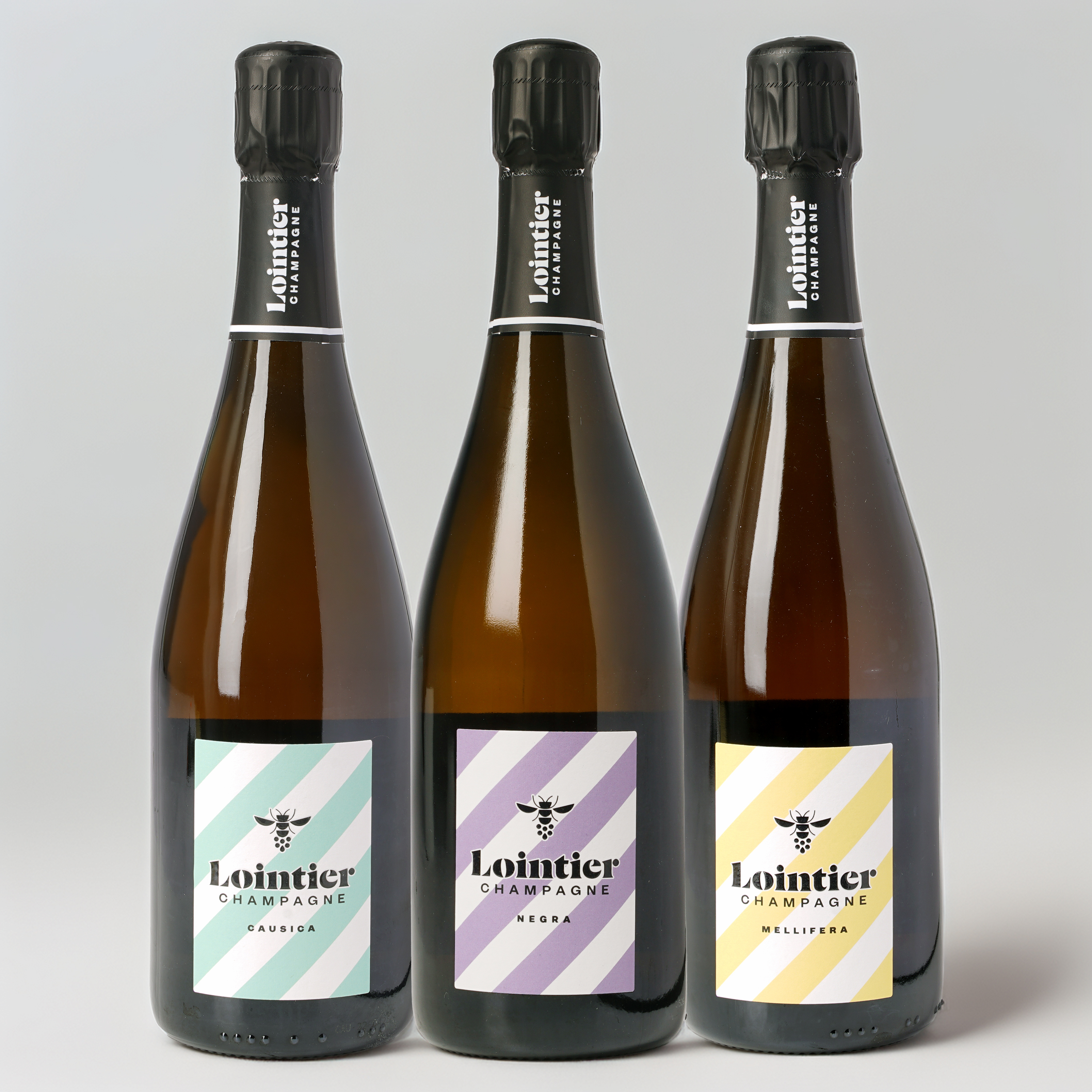 Lointier: Pure Terroir - 3 Bottles Pack