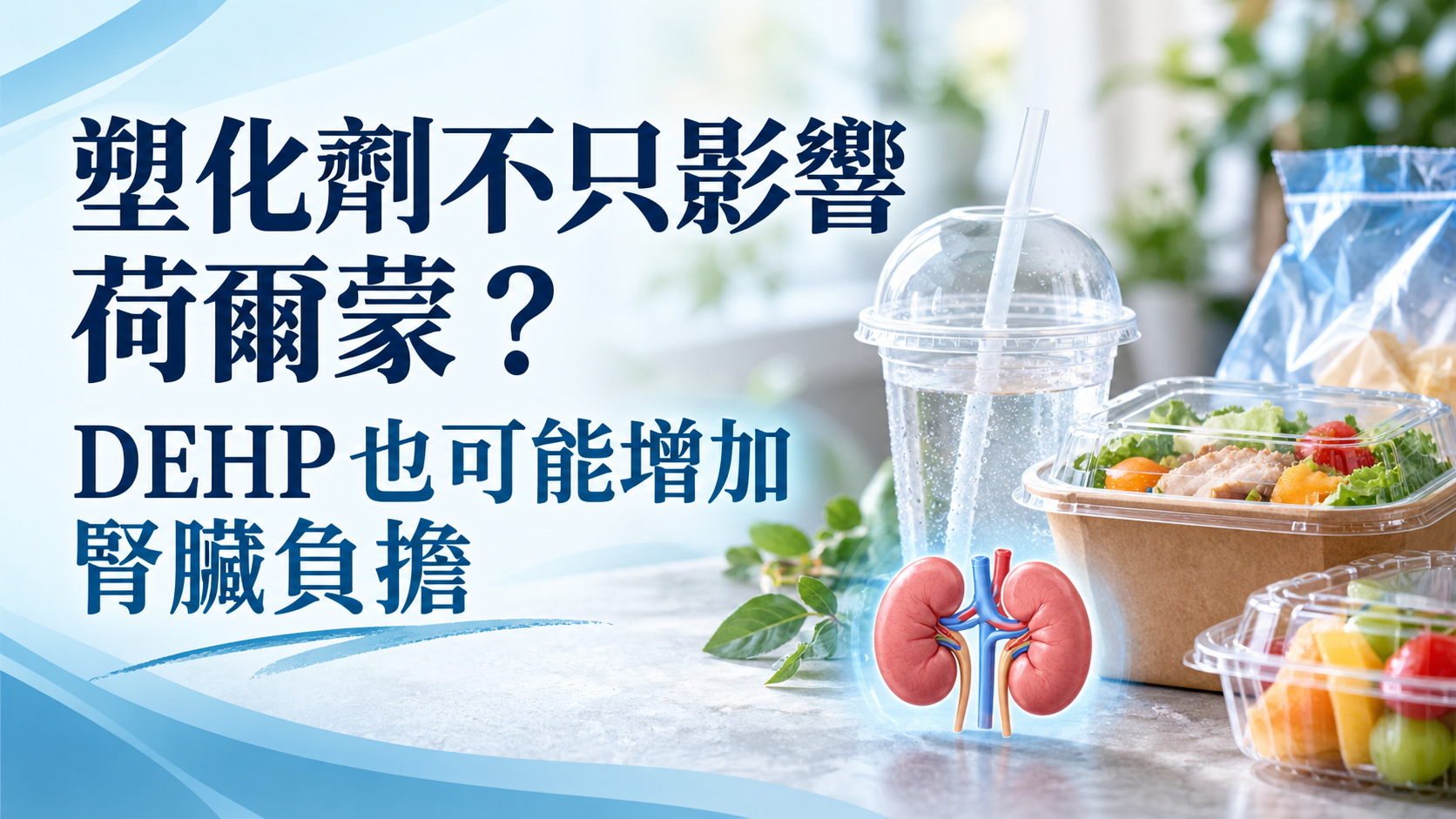 DEHP塑化劑與腎臟健康