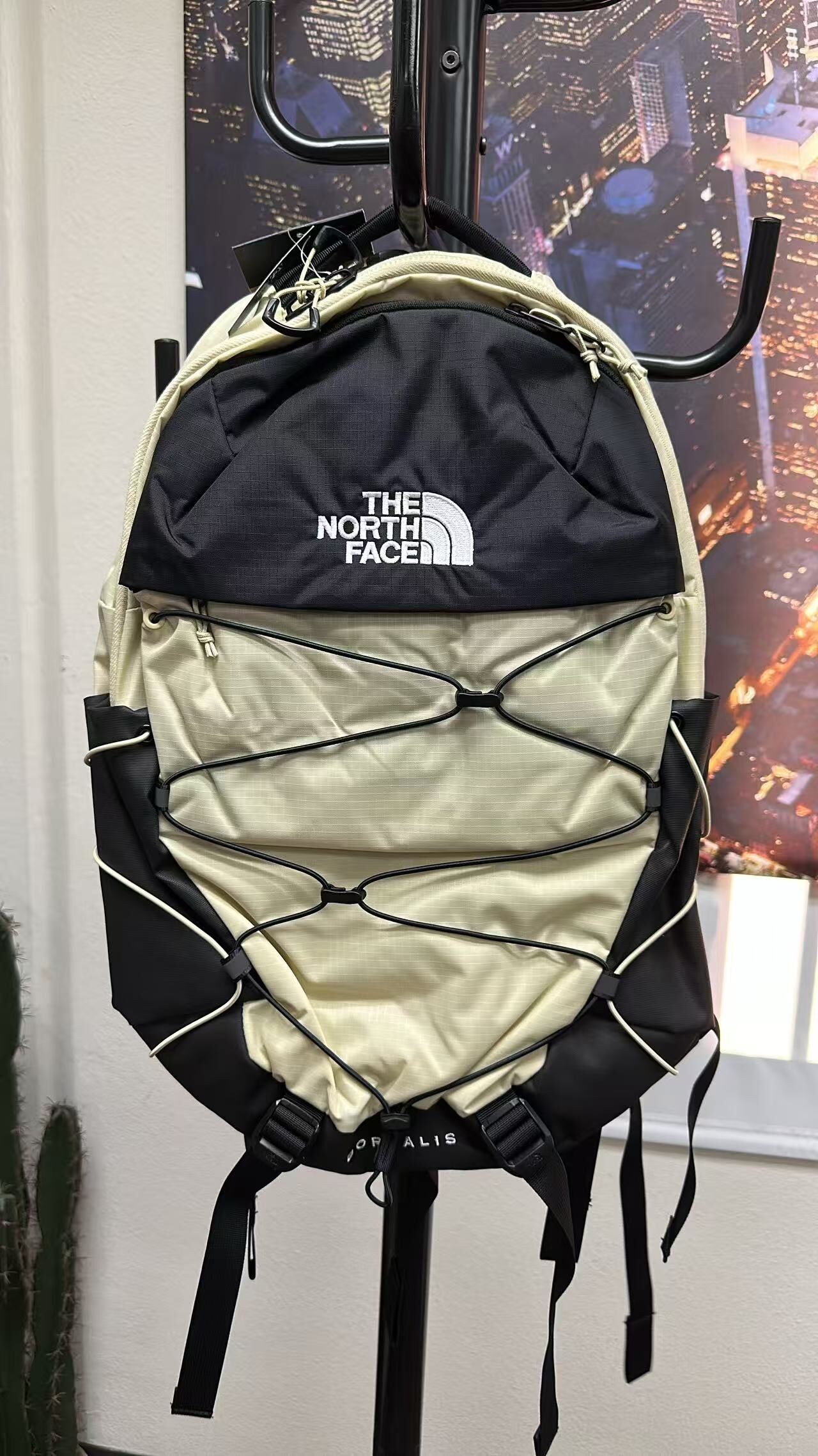 【直播】The North Face LX102321 Borealis 背囊