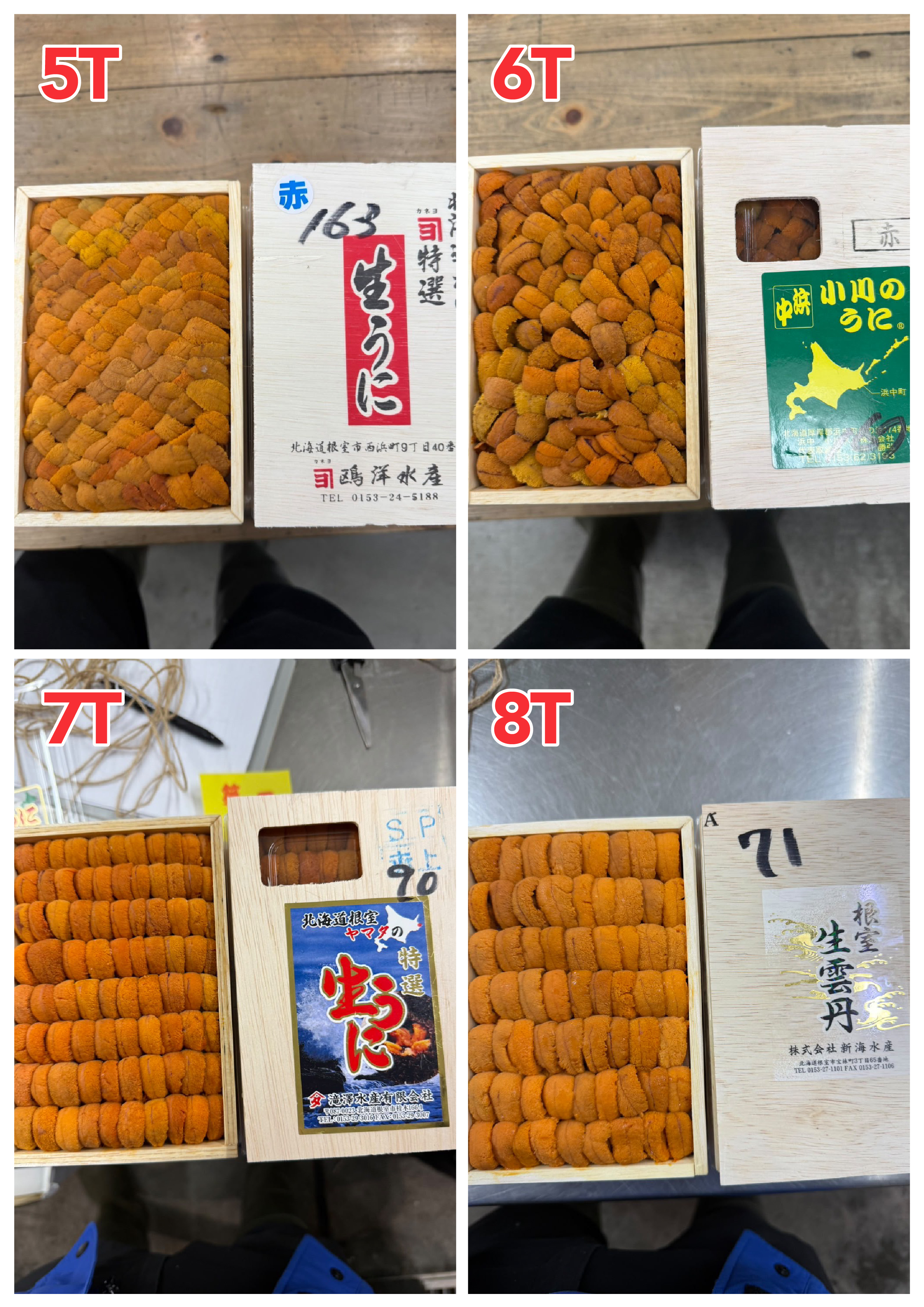 【指定海膽推薦】每天更新 (限即日落單, 翌日送)