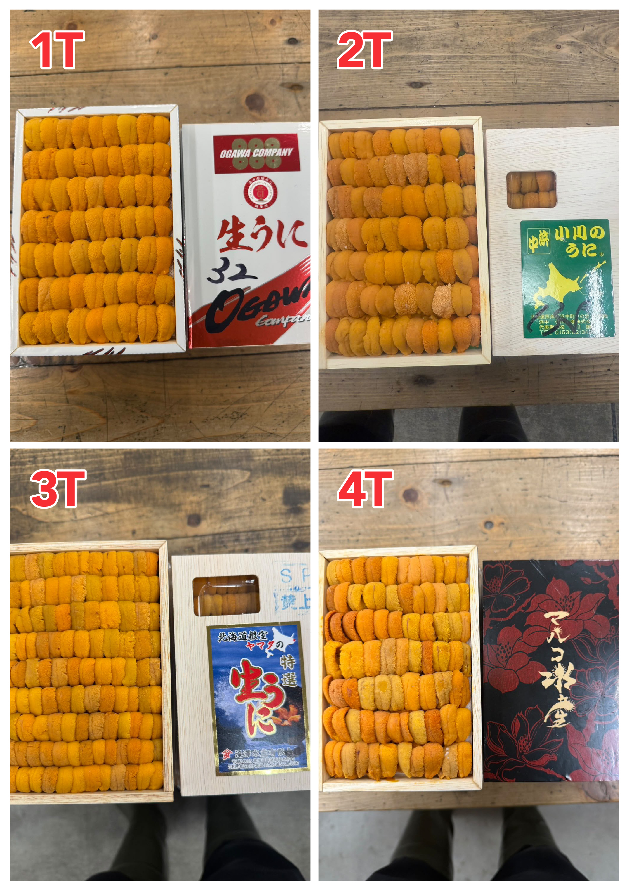 【Recommended Sea Urchin (Uni) Selection】 Updated Daily (Order Today for Next-Day Delivery)