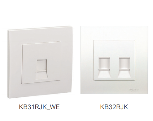 R553 單位 孖位  Keystone面板備防塵活門 (不連模塊)