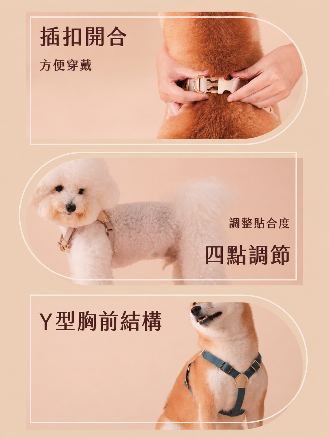 VIVID 2.0胸背帶三項特色:插扣開合、四點調節與Y型胸前結構
