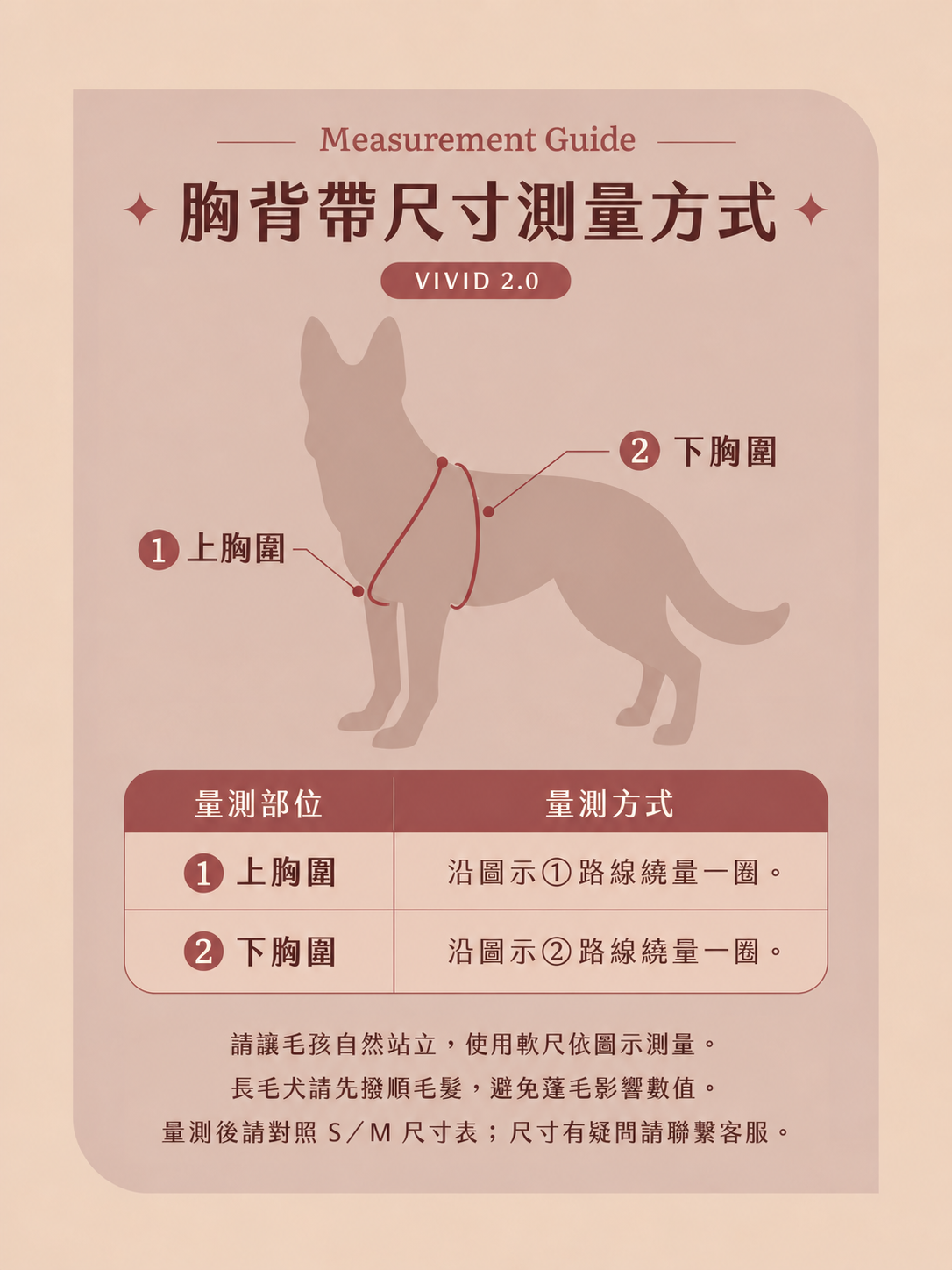 犬隻上胸圍與下胸圍的量測路線示意圖