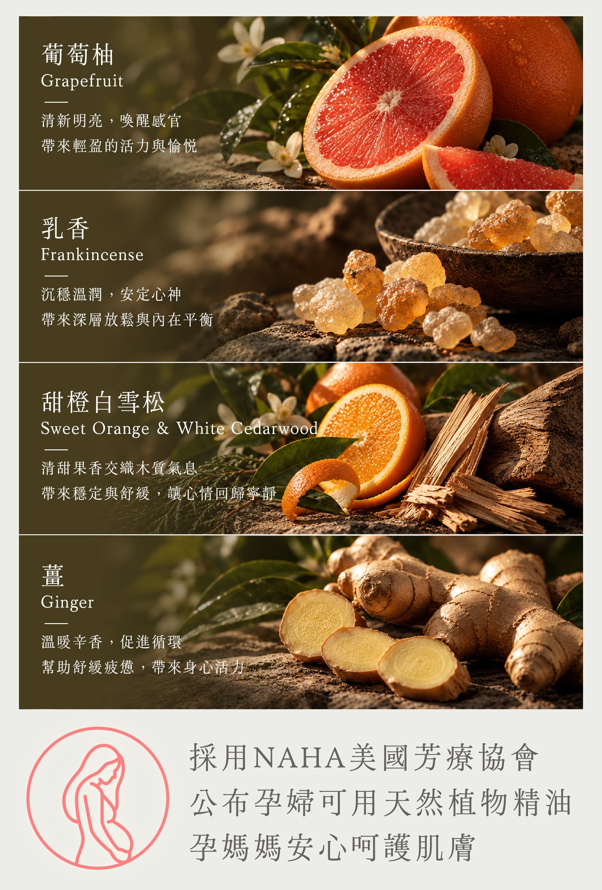 金盞花循環纖盈美膚油 葡萄柚乳香甜橙白雪松薑精油配方 NAHA美國芳療協會孕婦可用