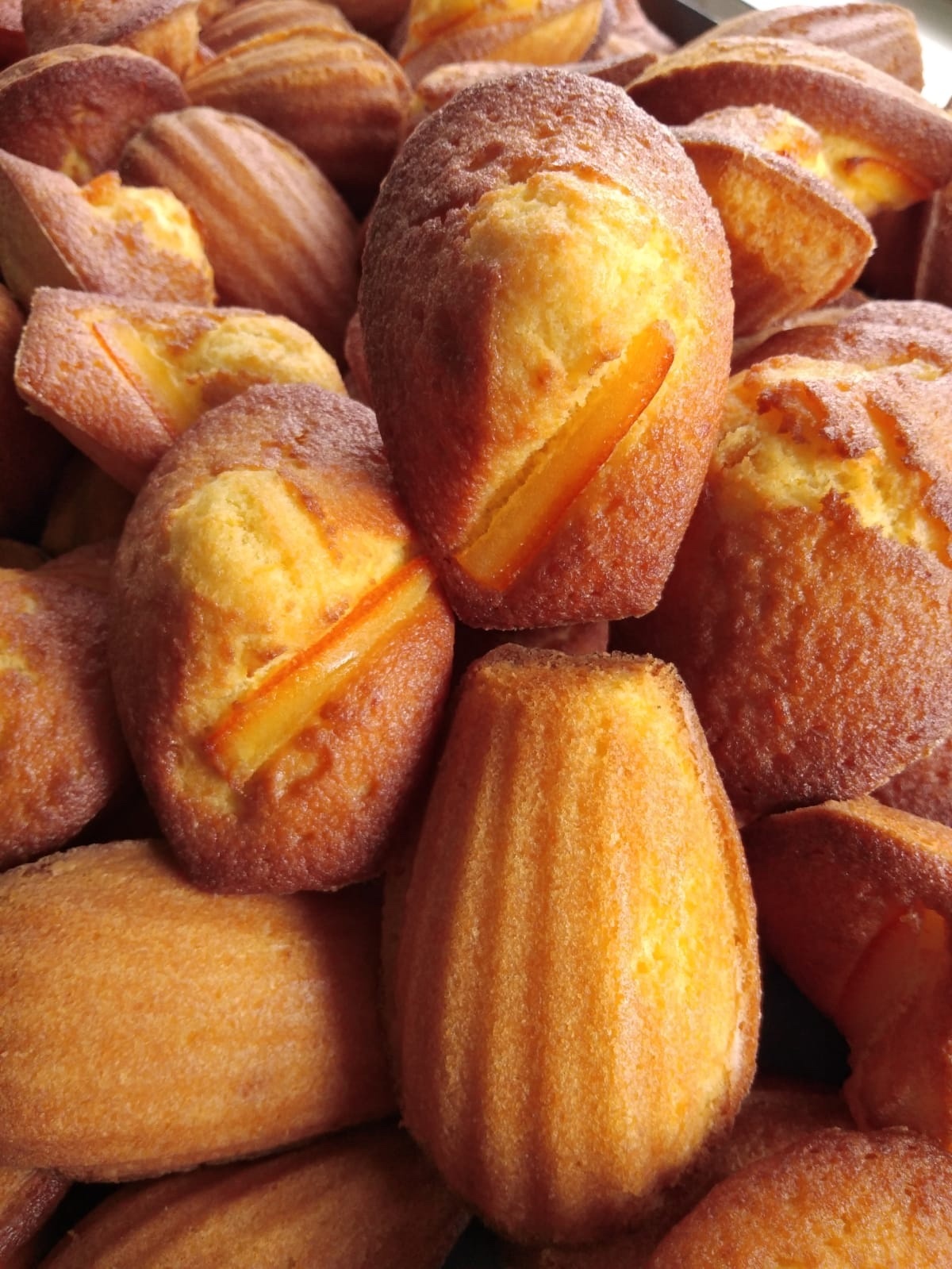 Orange Madeleine