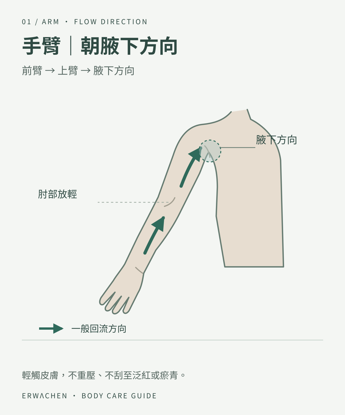 手臂肌膚按摩方向參考:前臂朝上臂,上臂朝腋下;肘部放輕。