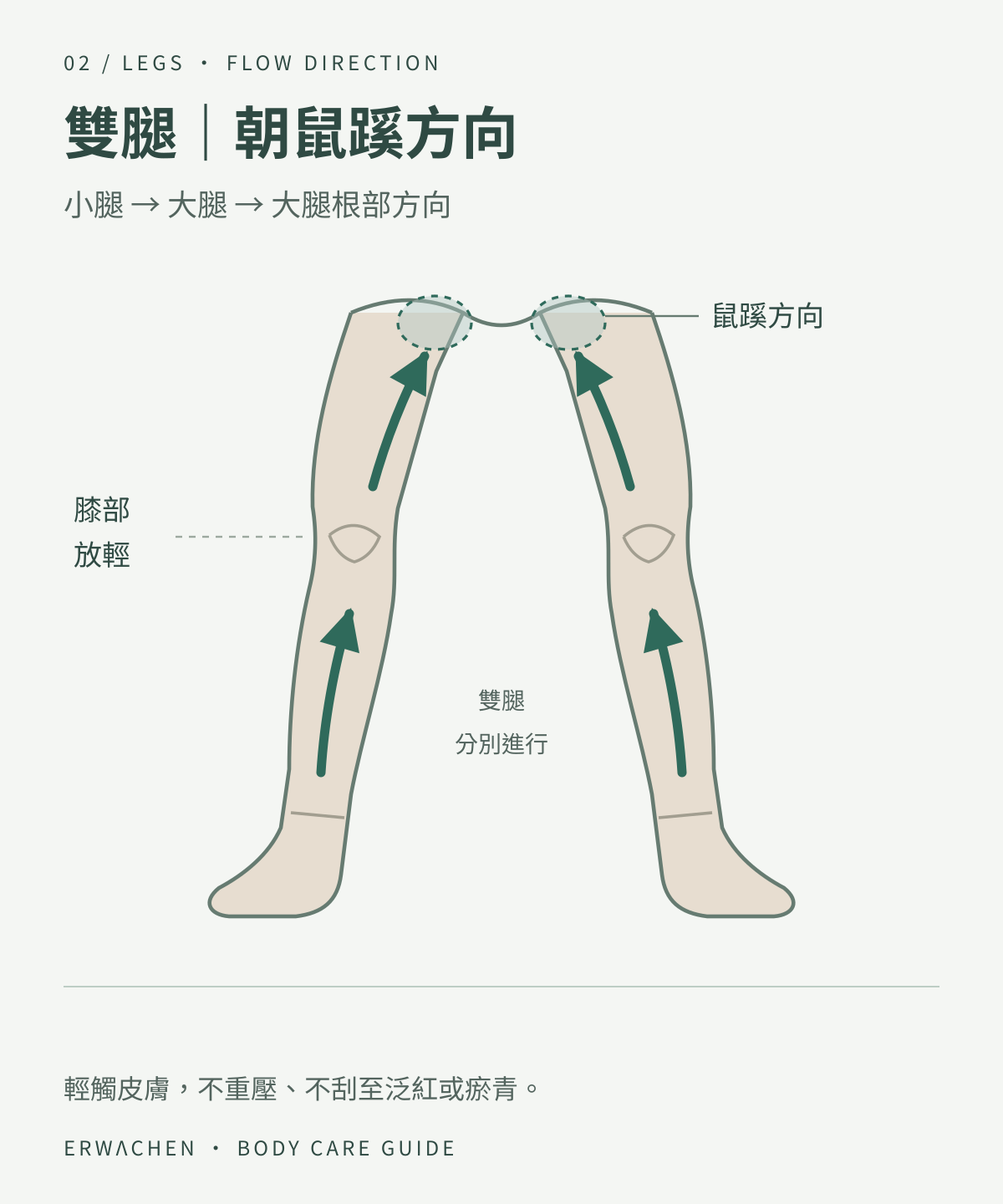 雙腿肌膚按摩方向參考:小腿朝大腿,大腿朝鼠蹊方向;膝部放輕,左右分別進行。
