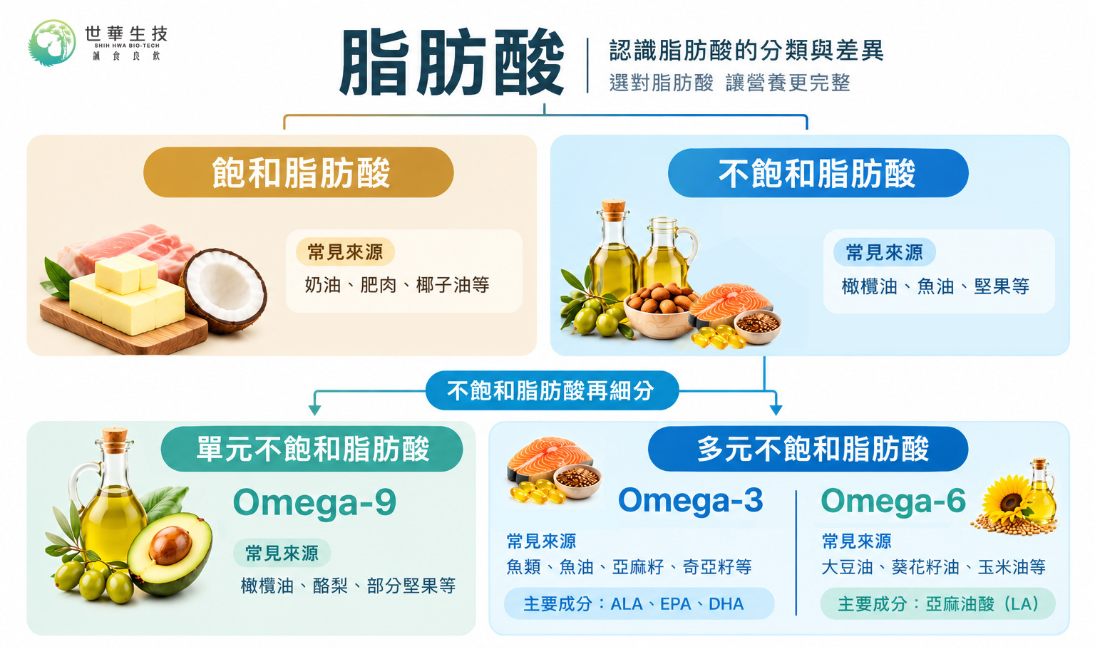 脂肪酸分類與常見來源圖鑑