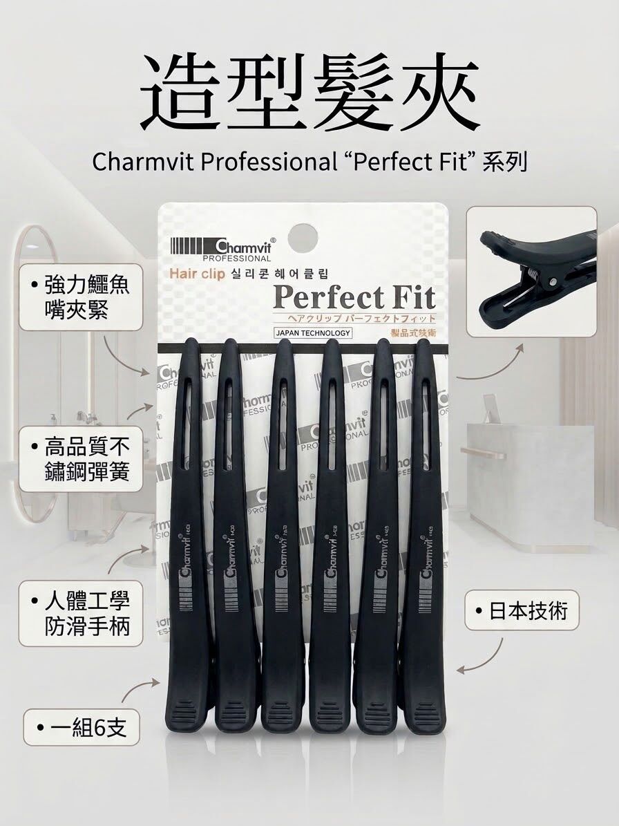 造型髮夾 六隻裝