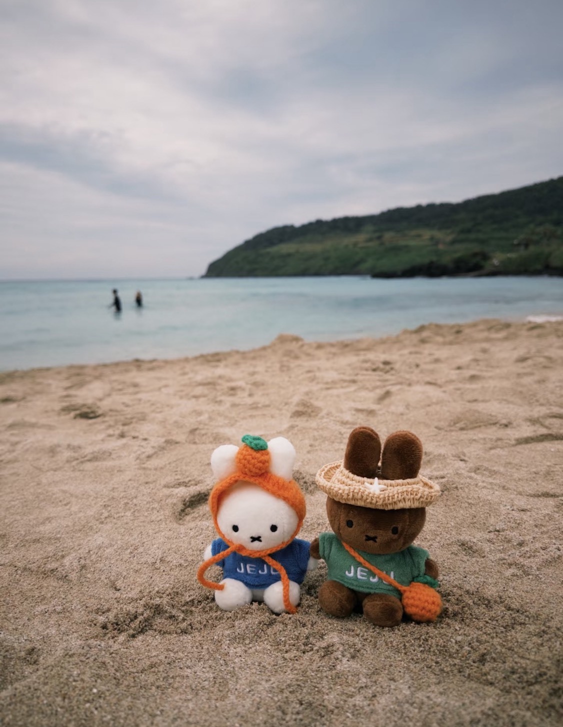<米菲統治天下🐰> 濟州島限定米菲