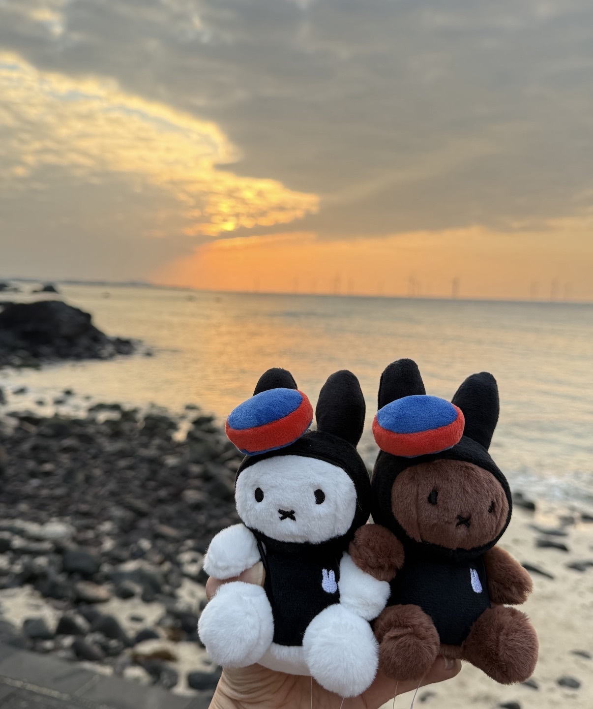 <米菲統治天下🐰> 濟州島限定 海女米菲&Melanie