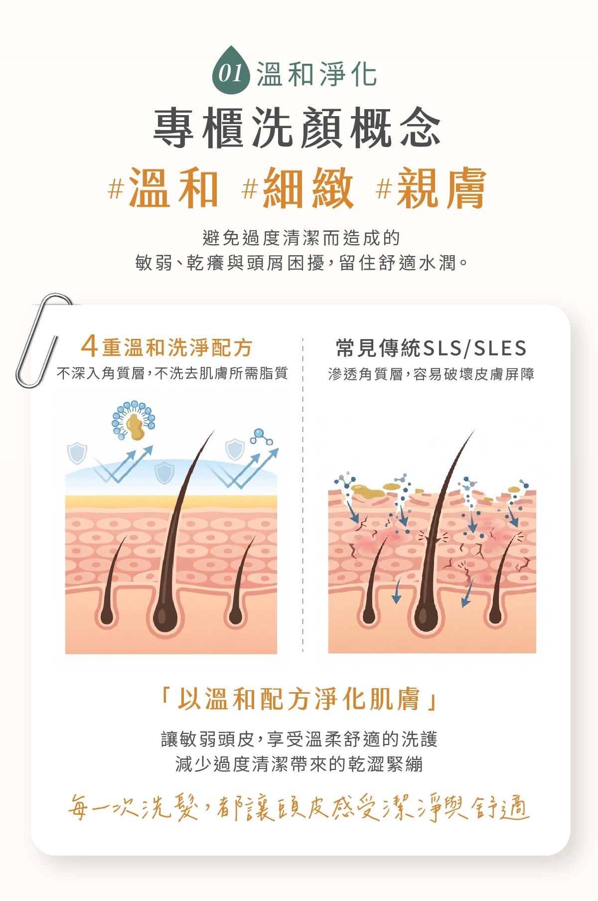 6-溫和淨化