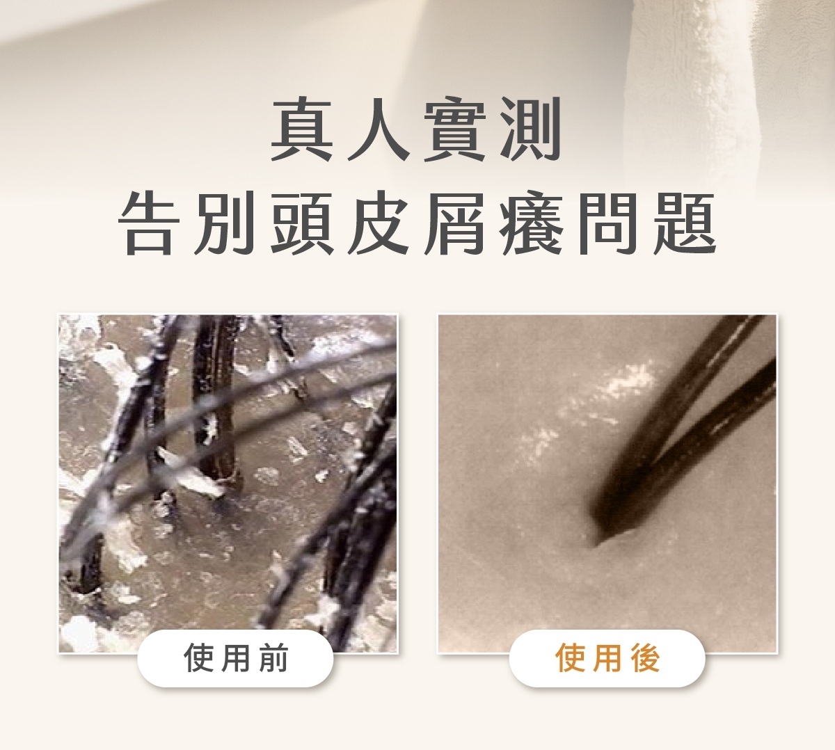 2-真人實測