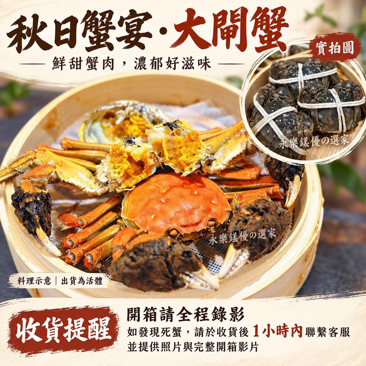 【永樂鎂優の選家】江蘇 2A級 有膏 公大閘蟹