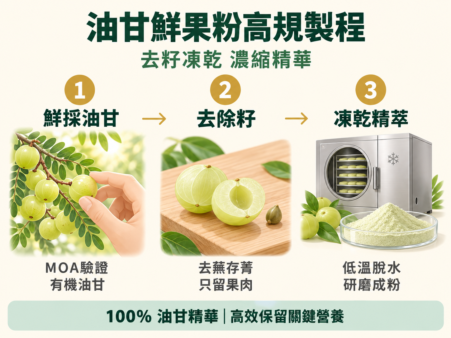 台灣油甘鮮果粉製程