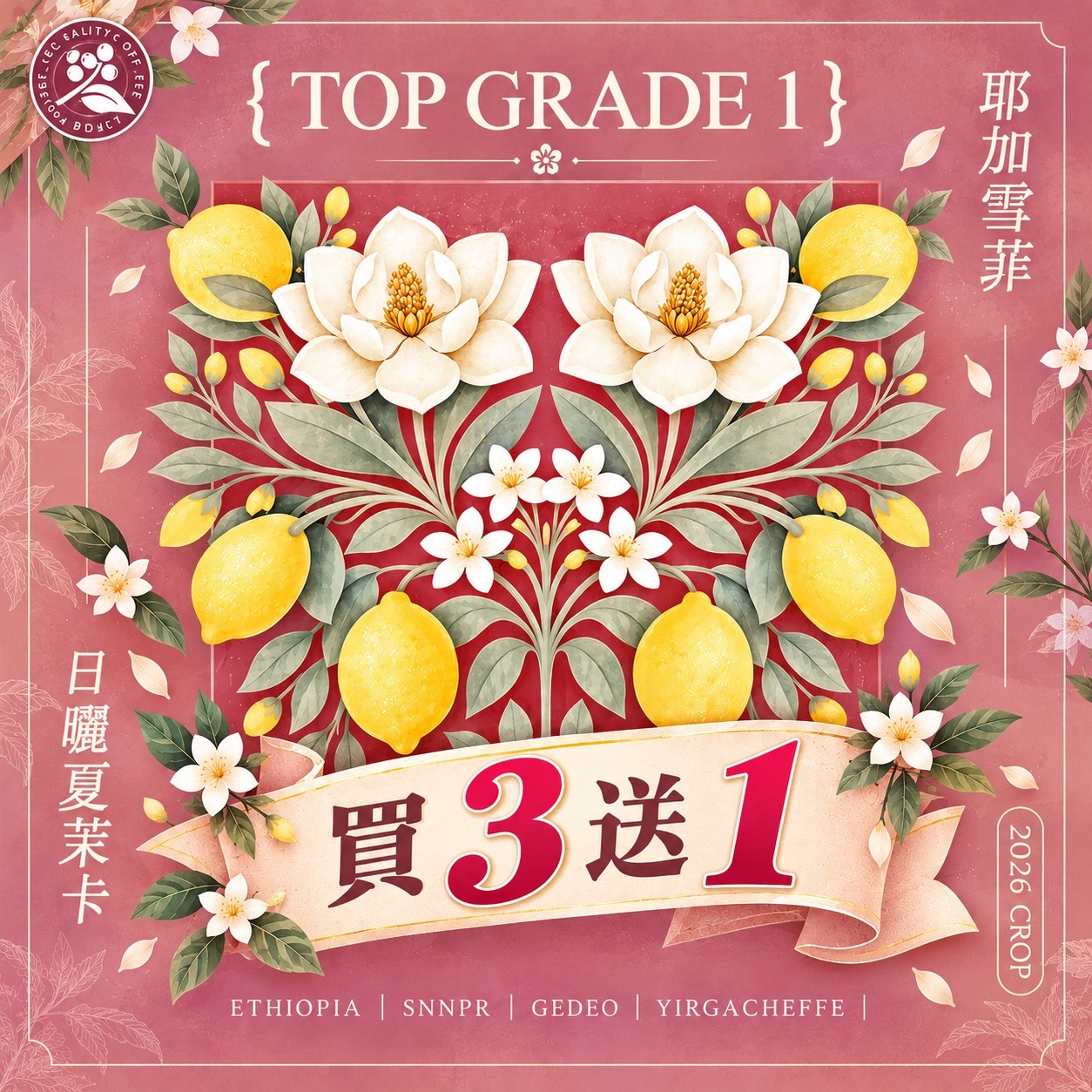 ★首次登場★ 衣索比亞 日曬 耶加雪啡 夏茉卡 G1