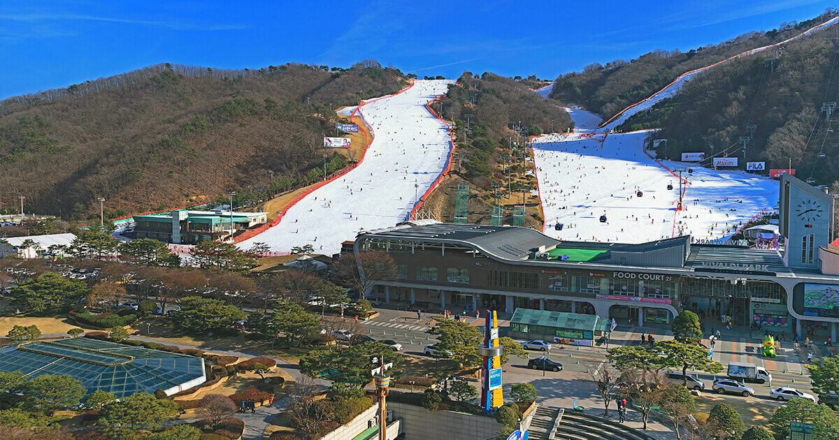 韓國(首爾近郊 / 江原道)滑雪場